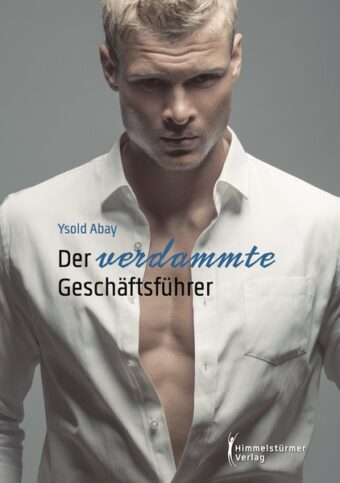 Der verdammte Geschäftsführer | Himmelstürmer Verlag